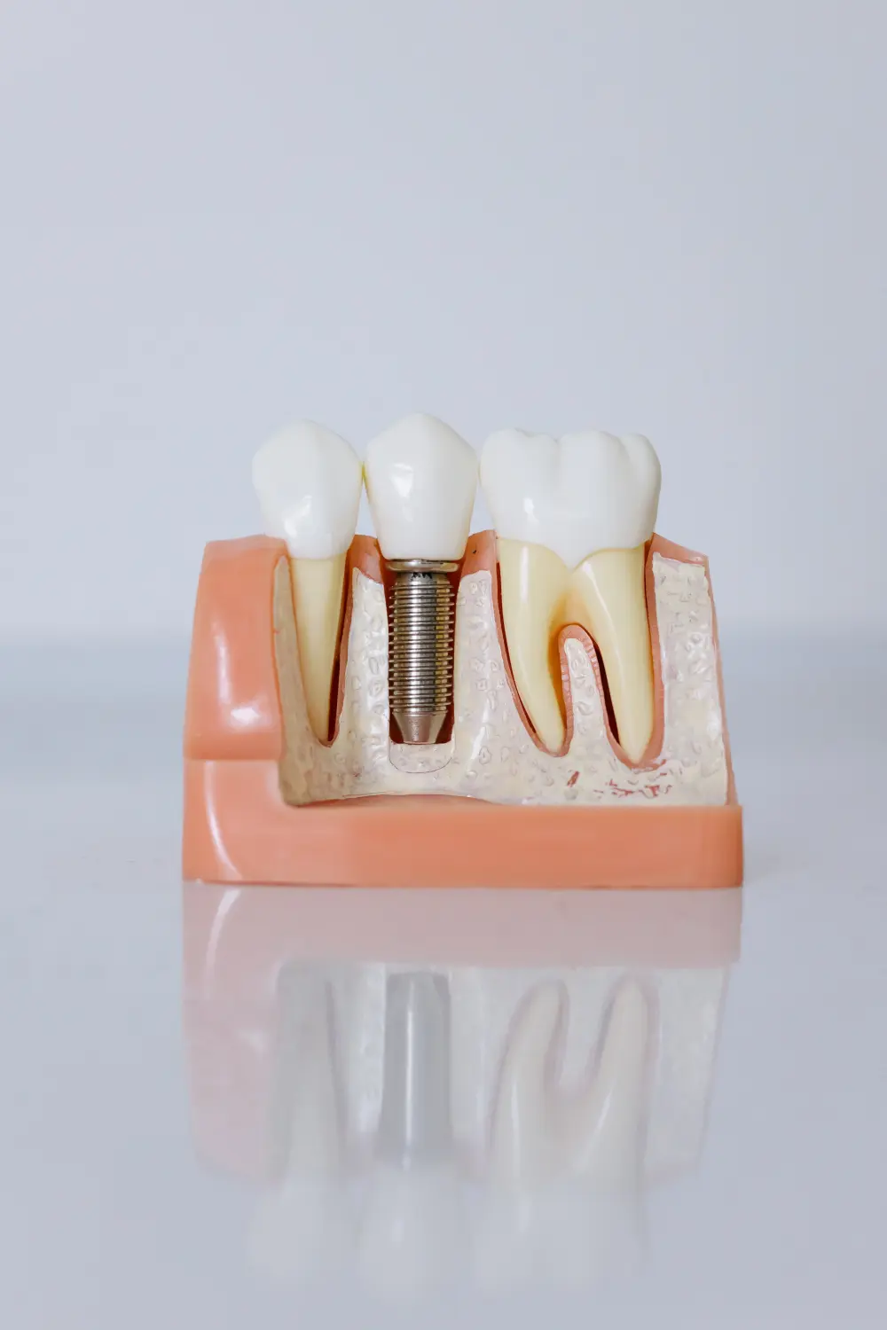 Zahnärztlicher Dienst DentPlus